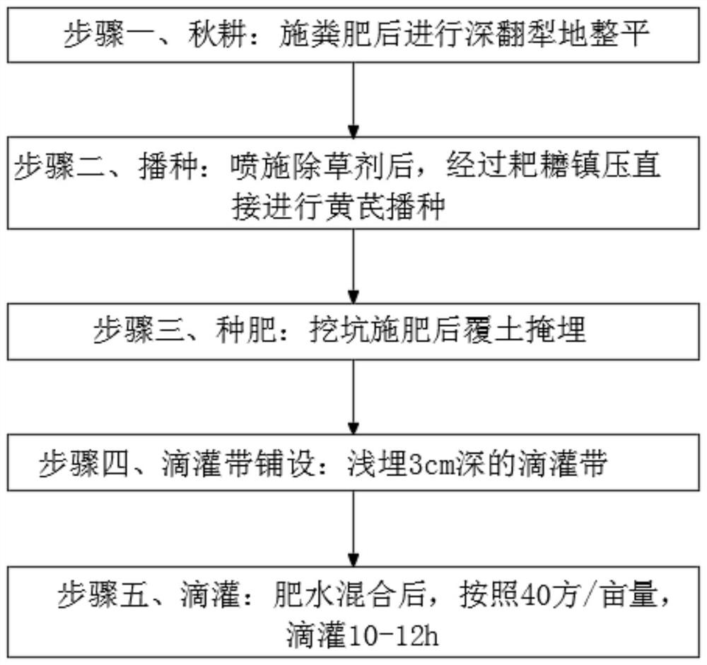 Water and fertilizer integrated efficient water-saving technology for dry sowing, wet-out, shallow burying and drip irrigation of astragalus membranaceus