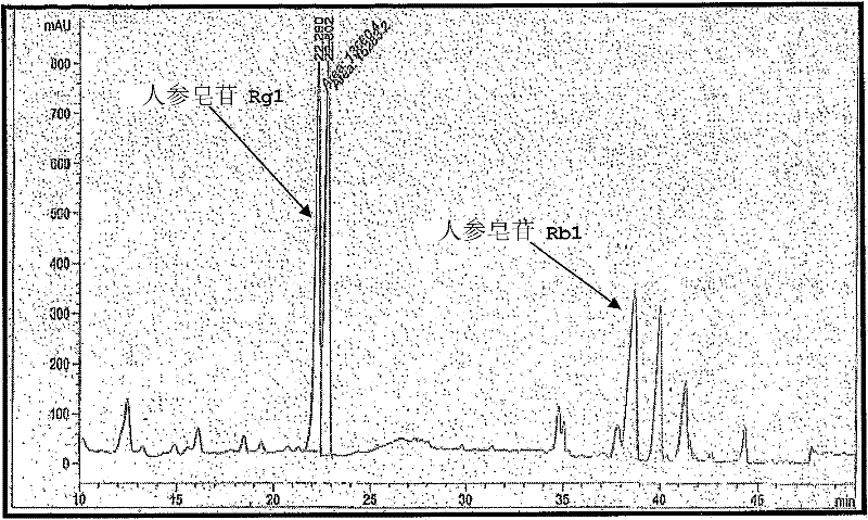 Method for preparing extract fraction reinforced with ginsenosides Rg1 or Rb1 from ginseng