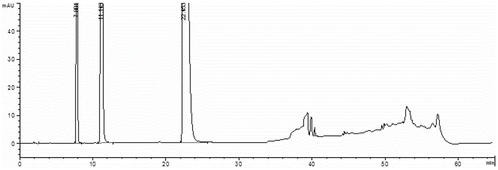 Detection method of related substances in compound ammonium barbiturate injection