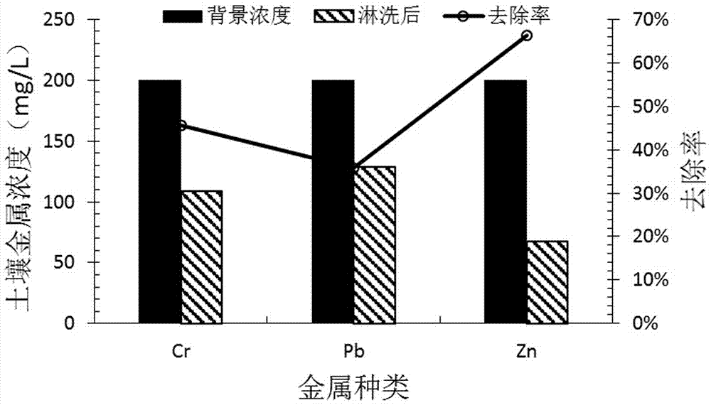 Microbial restoration agent for heavy metal contaminated soil and restoration method