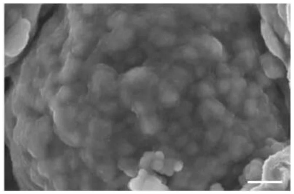 A kind of ternary cathode material and preparation method thereof