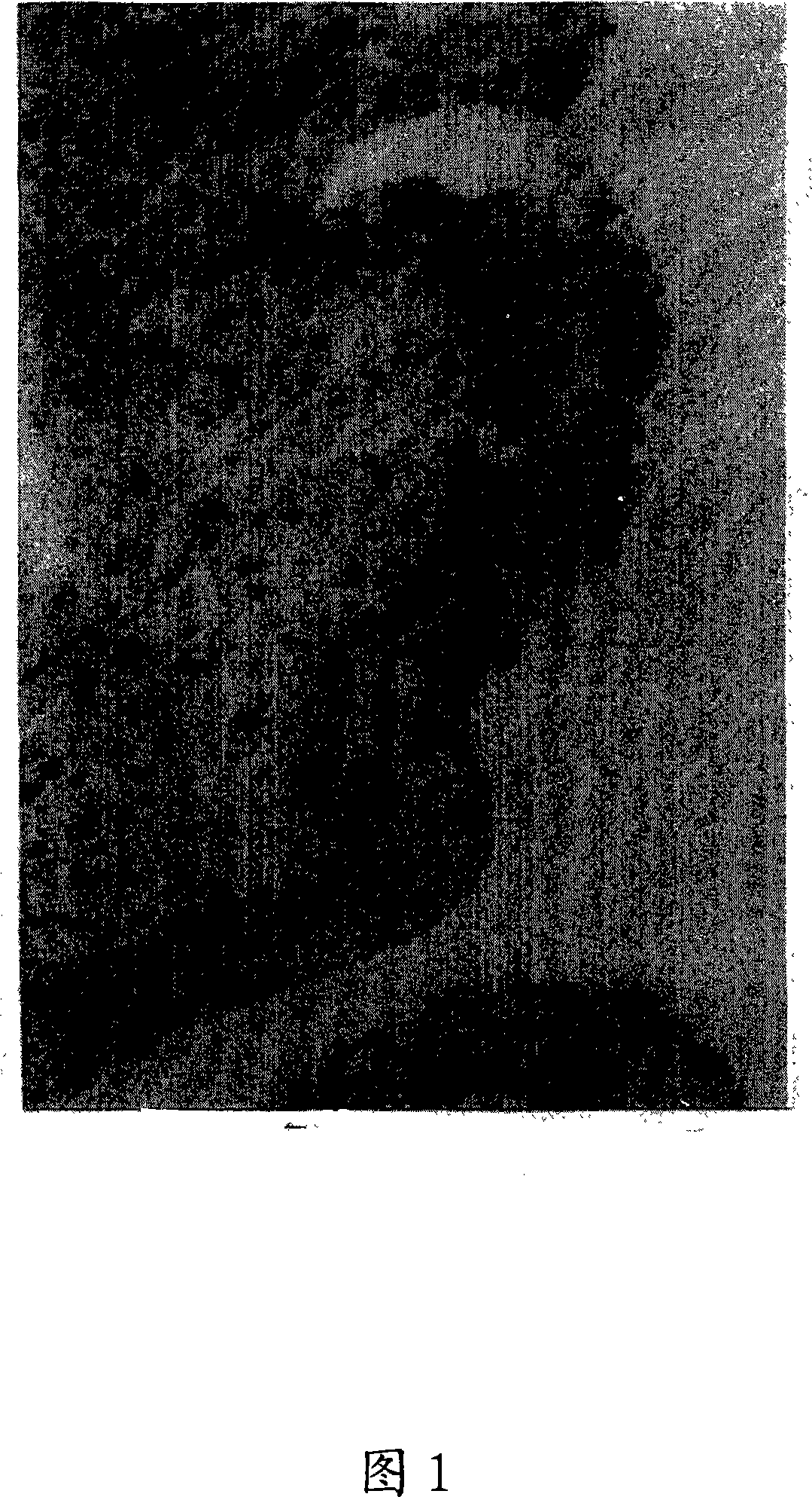 Nonoxynol nonylphenoxy-polyethoxyethanol suppositorium and preparation method thereof