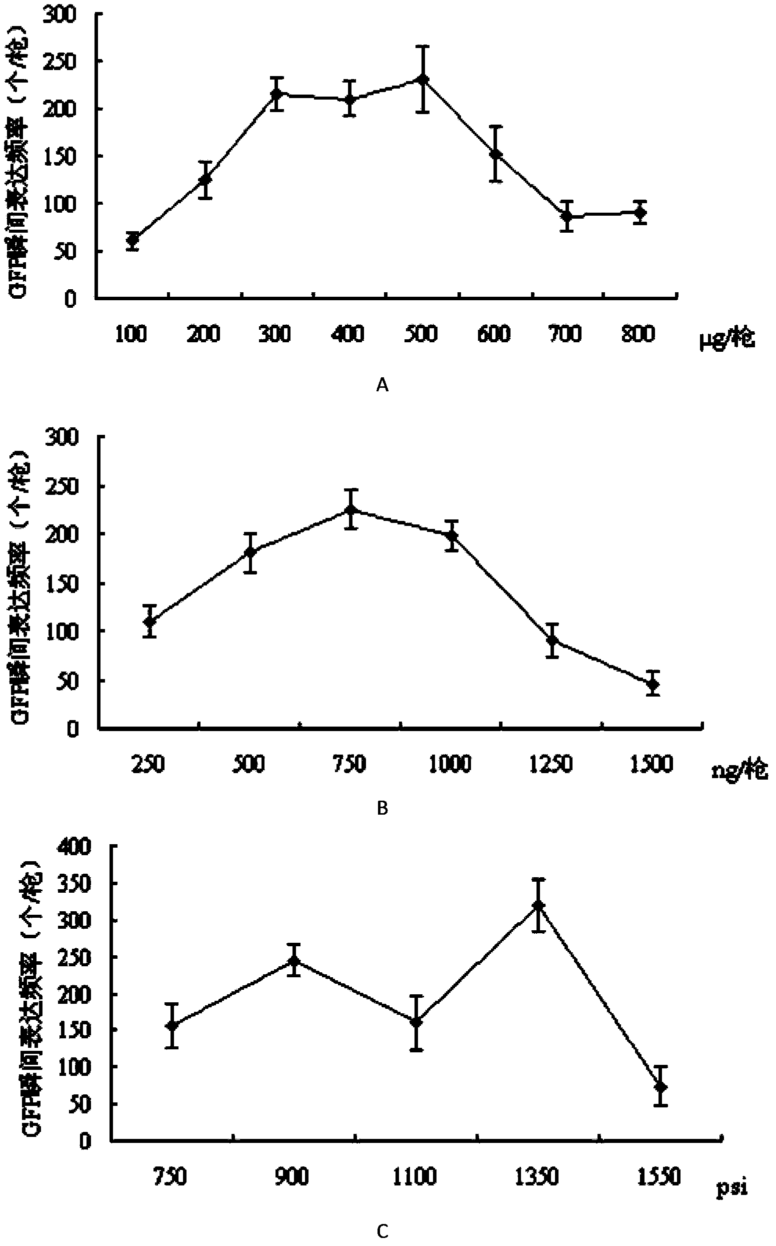 Method for transient expression of wheat leaf single cell based on efficient gene gun conversion and application of method