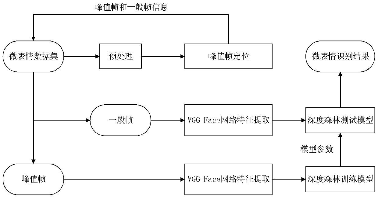 Micro-expression recognition method based on peak frame and depth forest