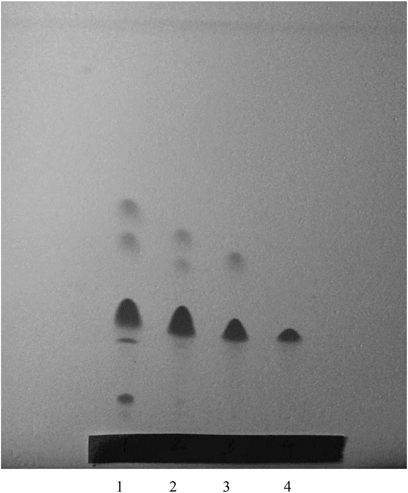 Purification method and preparation method for 4',7-diethyl tectorigenin