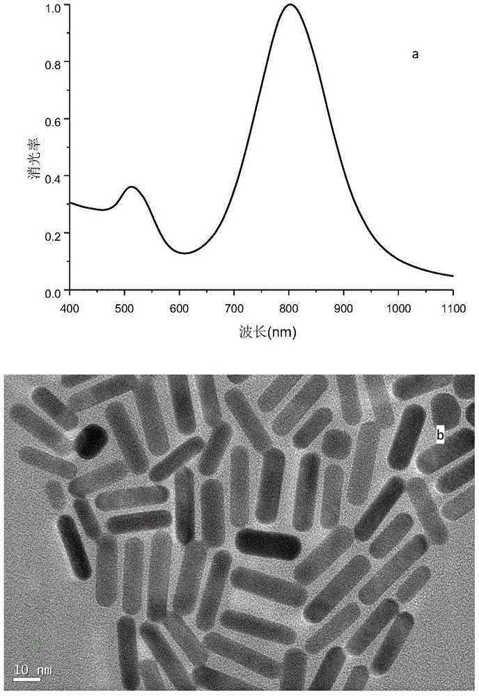 Application of copper-doped gold nanorods in preparation of antitumor drugs