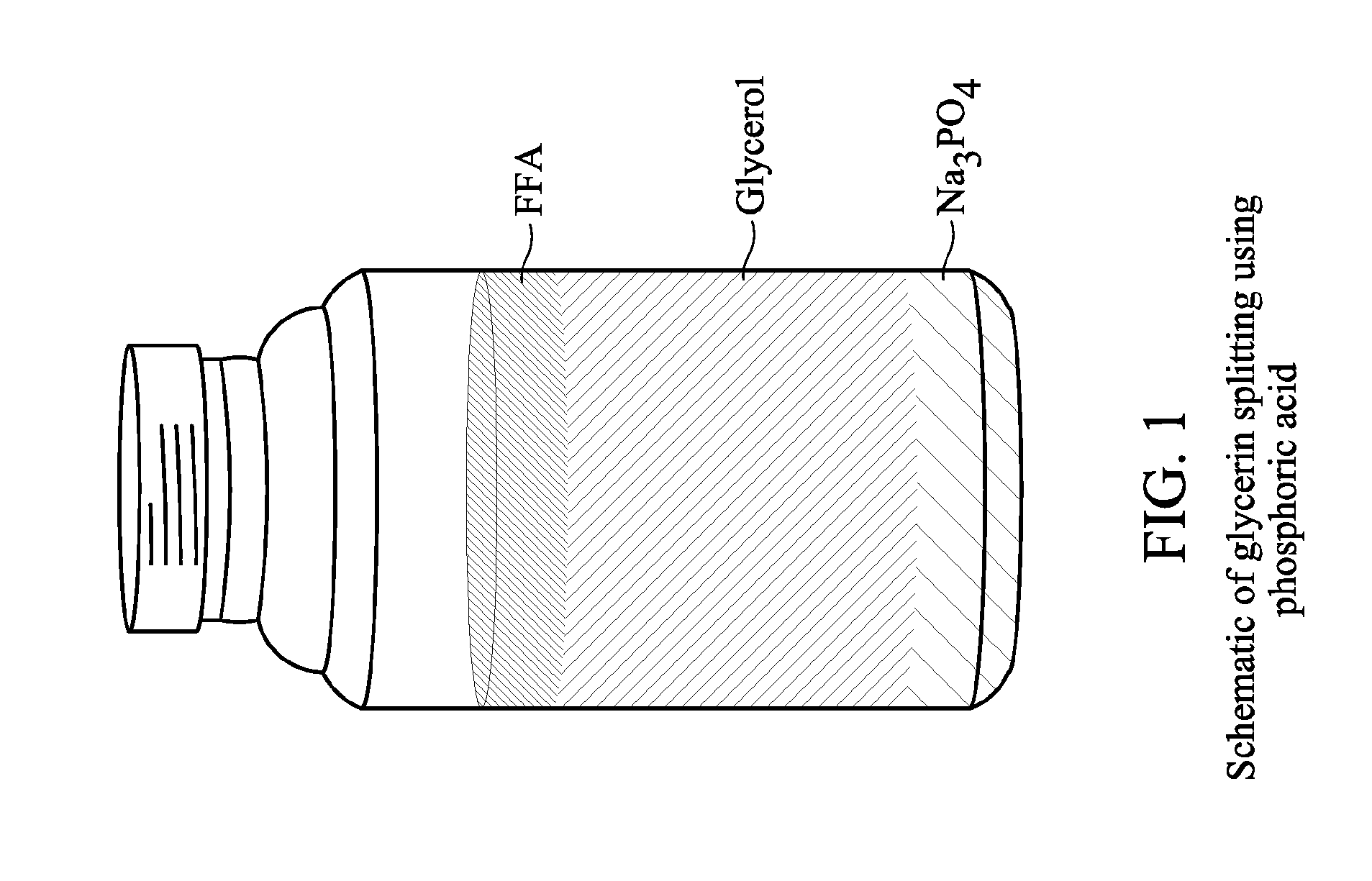 Methods and apparatus for controlling moisture in plant oils and liquid biofuels