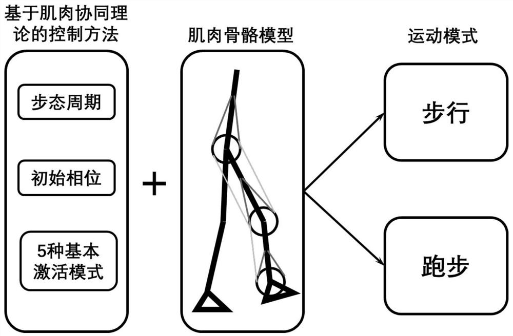 Flexible exoskeleton robot control method and system based on muscle coordination theory