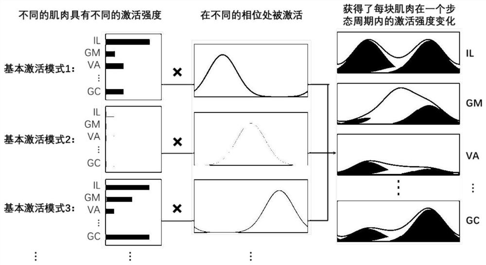 Flexible exoskeleton robot control method and system based on muscle coordination theory