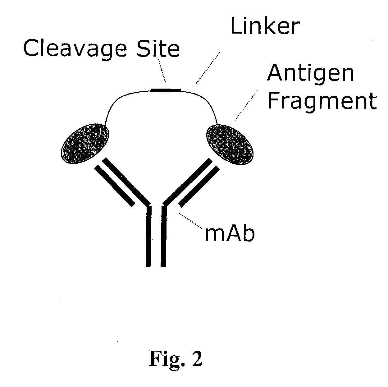 Masking Ligands For Reversible Inhibition Of Multivalent Compounds