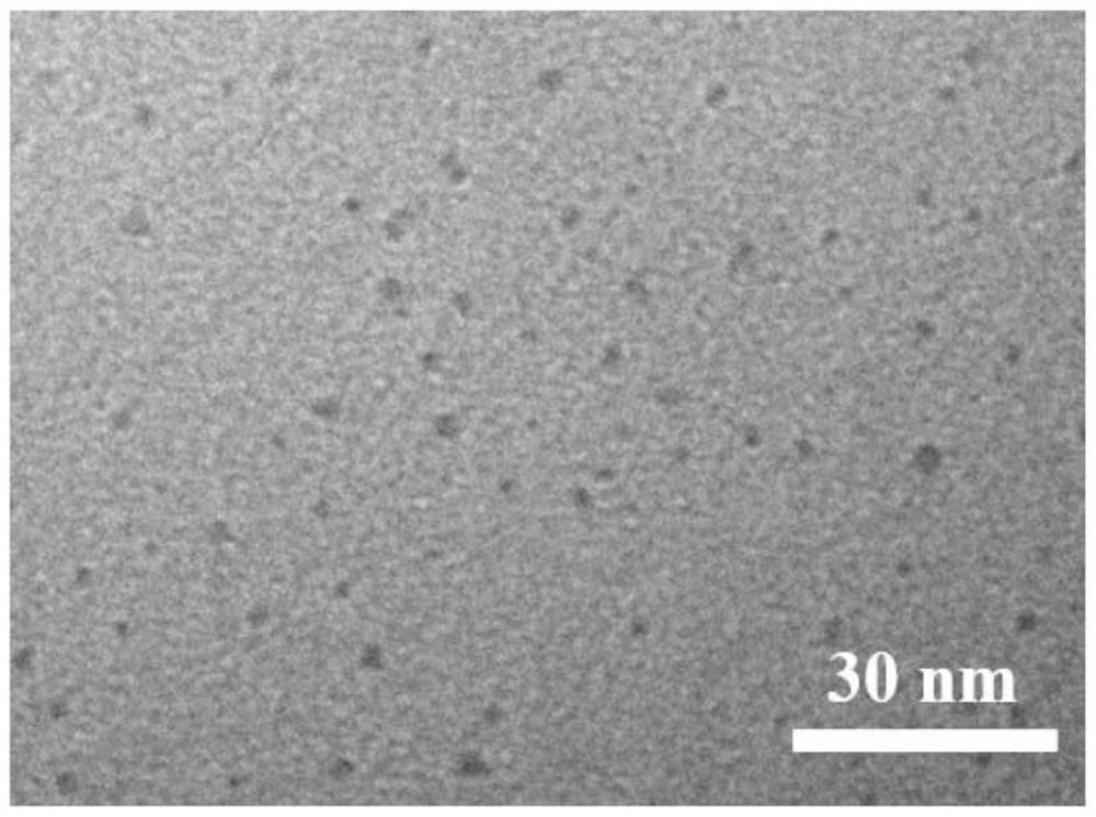 Preparation method of self-supporting composite nanofiltration membrane