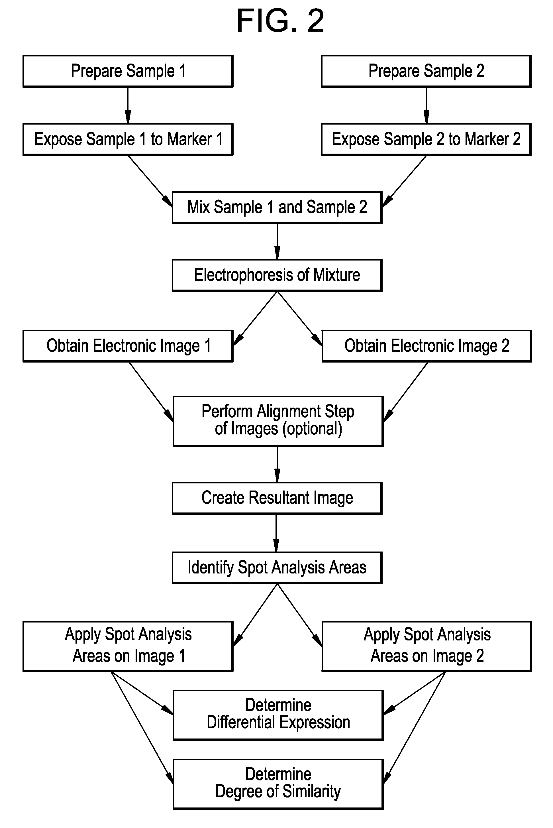 Method of analysing cell samples, by creating and analysing a resultant image