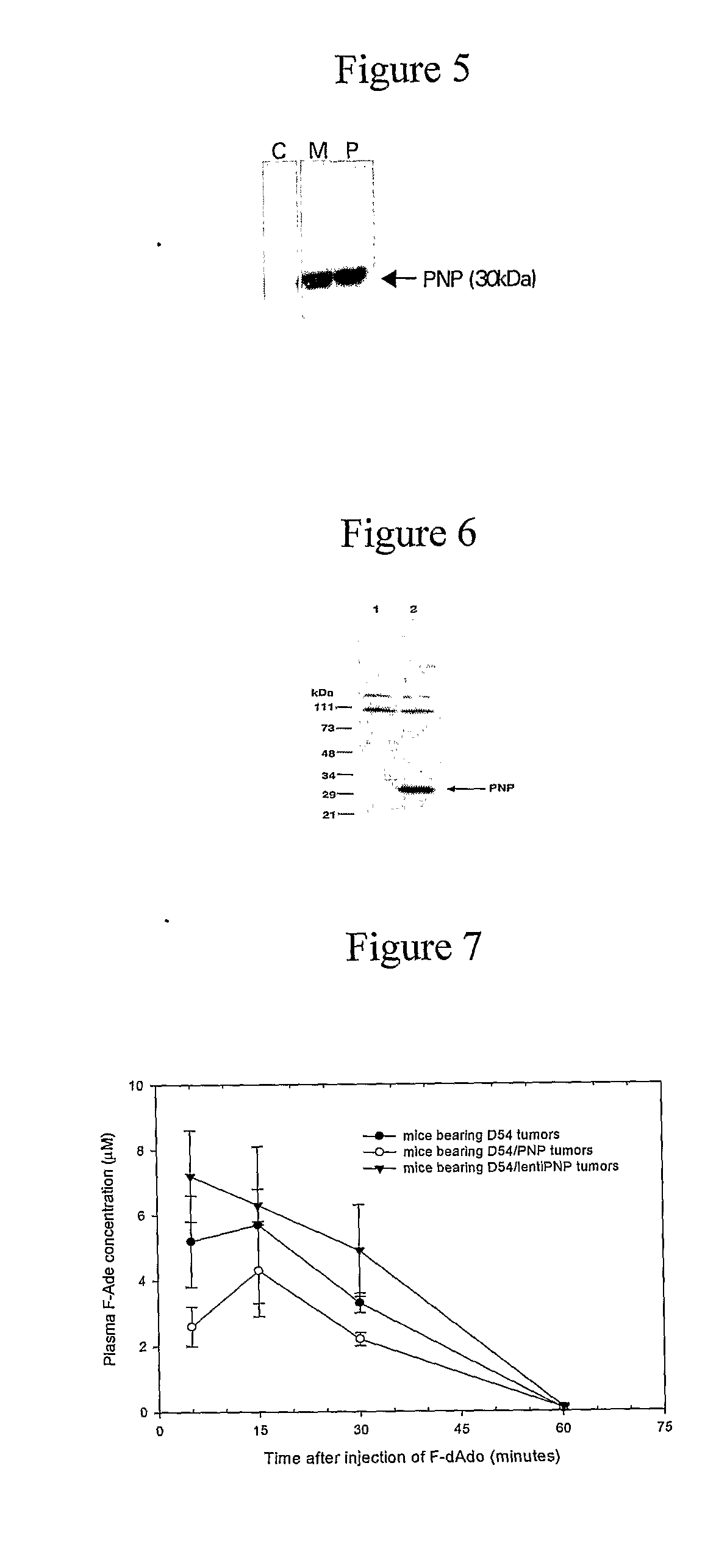 Anti-tumoral compositions methods