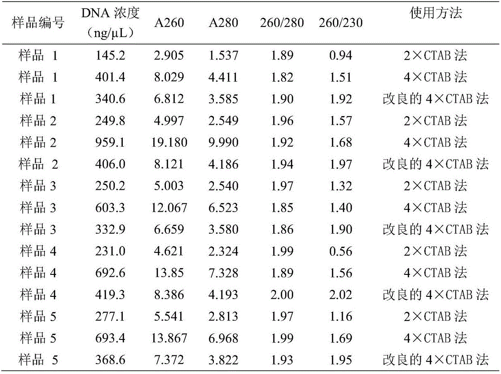 Improved method for extracting total DNA (deoxyribonucleic acid) from polysaccharide and polyphenol plant Rhododendron lapponicum