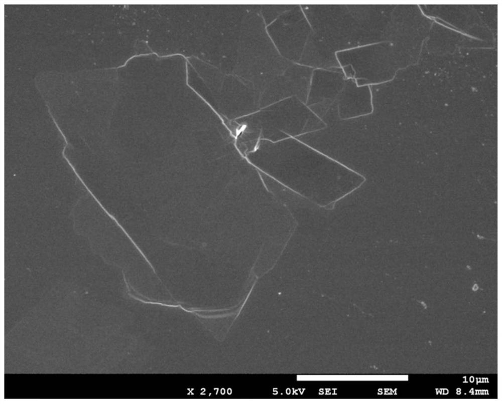 A kind of nylon elastomer nanocomposite material and preparation method thereof