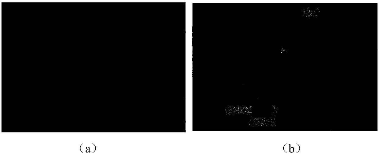 Method for acquiring continuous heating translation of bulk amorphous alloy