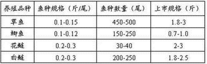 Fish feed for mixed culture and preparation method of fish feed