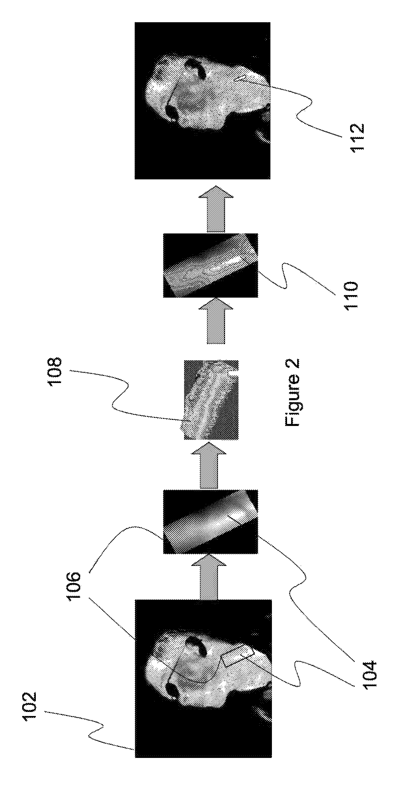 System and methods for vital sign estimation from passive thermal video