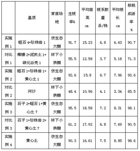 Method for cultivating parashorea chinensis cutting seedlings under bionic condition