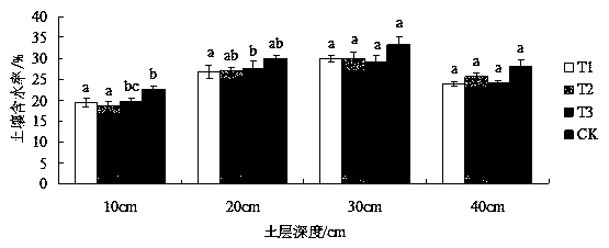 Special improved concealed pipe drainage method for panax notoginseng