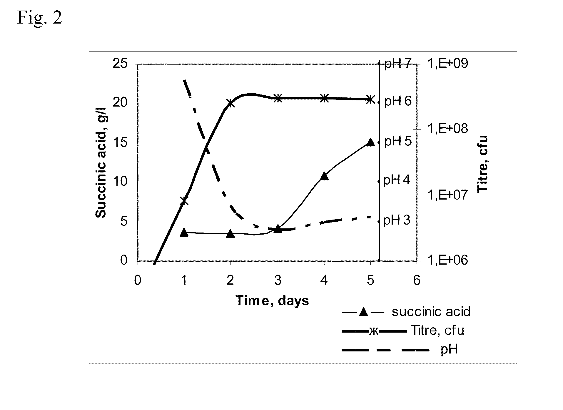 Method for producing succinic acid using a yeast belonging to the genus <i>Yarrowia</i>