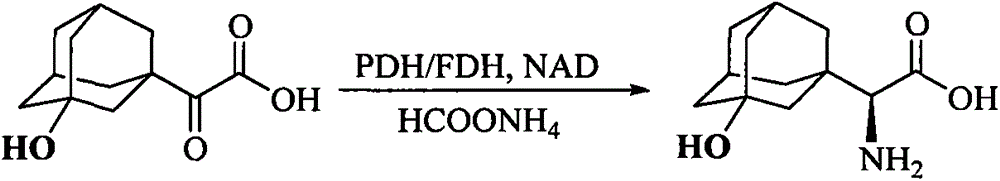 The preparation method of (s)-3-hydroxyadamantane glycine