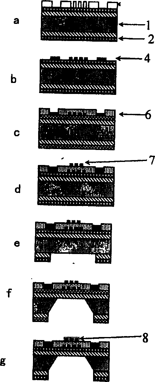 Ministructure gas sensor array chip and its preparing method
