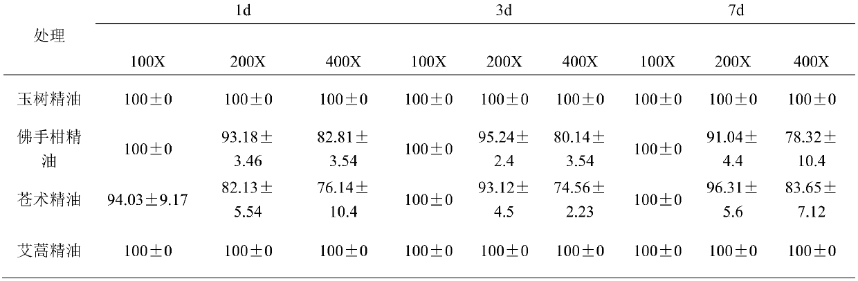 Application of cajuput essential oil in preventing and controlling tea geometrid