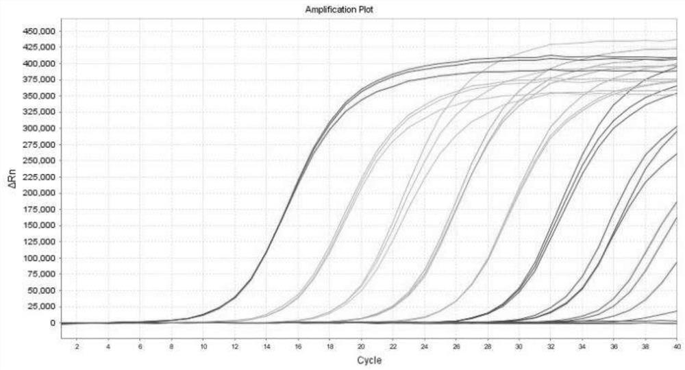 Multiple fluorescent quantitative PCR (Polymerase Chain Reaction) detection kit for streptococcus suis type 2 virulence gene and detection method thereof