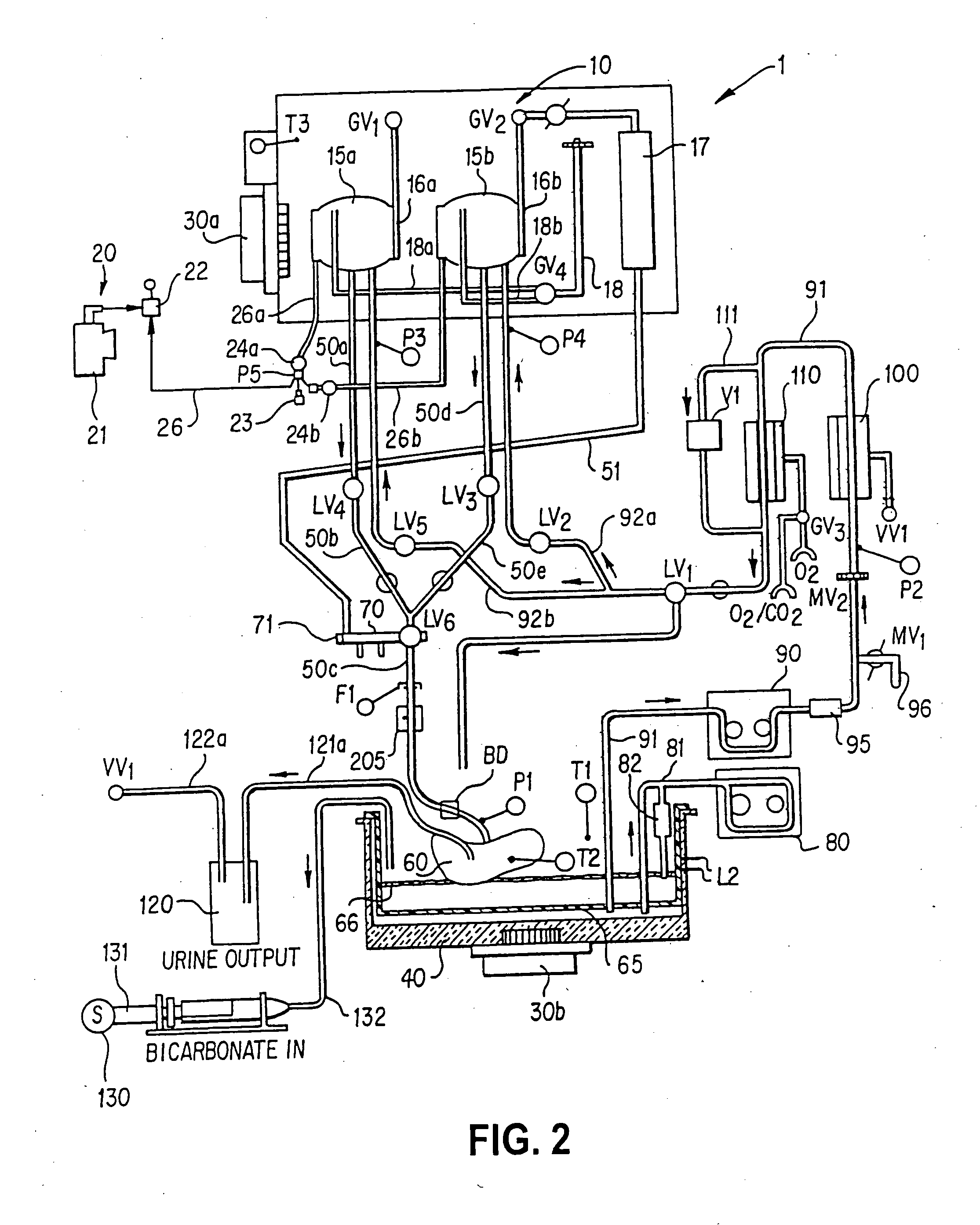Apparatus and method for perfusing an organ or tissue for isolating cells from the organ or tissue