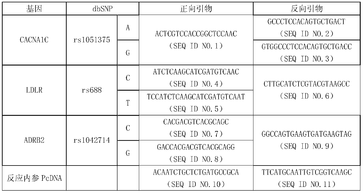 Primer combination for guiding application of beta-receptor blocker, multi-gene detection kit and using method thereof