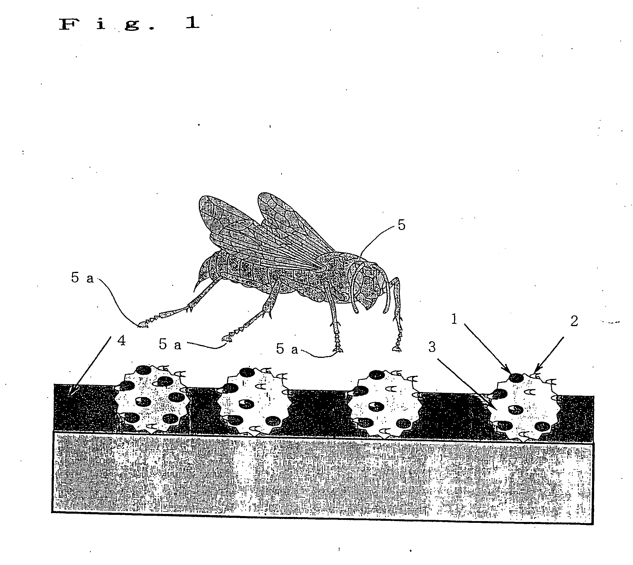 Insect pest-repellent film, insect pest-repellent paint and method for producing the same