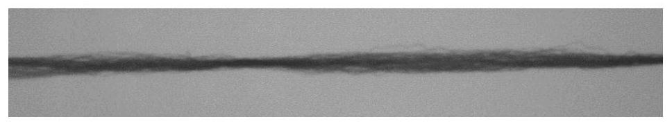 Terylene DTY network point detection method based on image processing technology