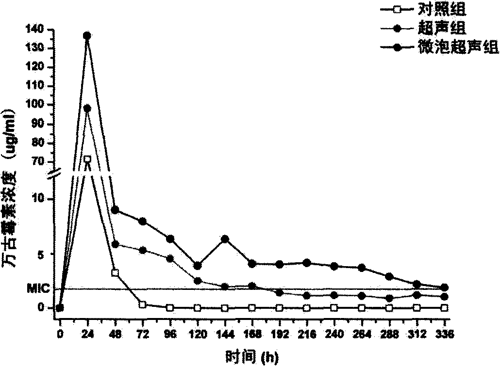 Method for promoting topical drug release on bone cement carried with antibiotics