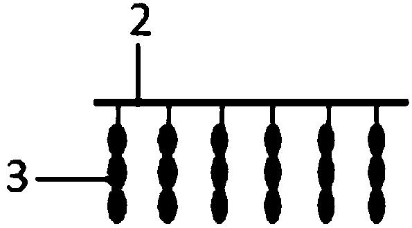 Vertical seedling device of laver shell conchocelis and application method thereof