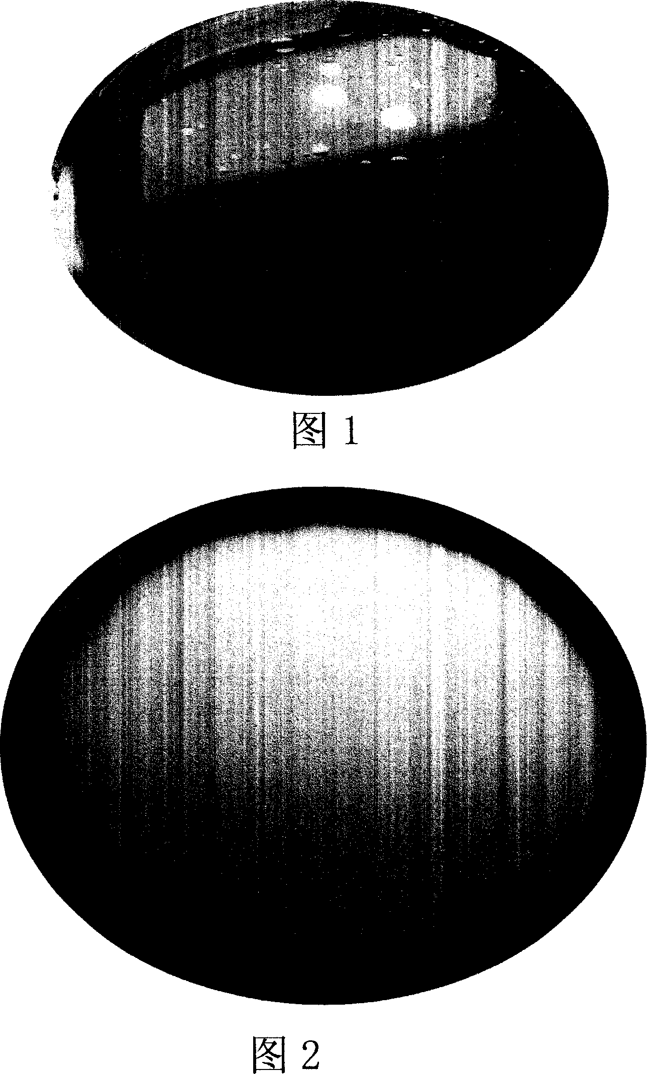 Allicin fatty milk injection and preparation technics thereof