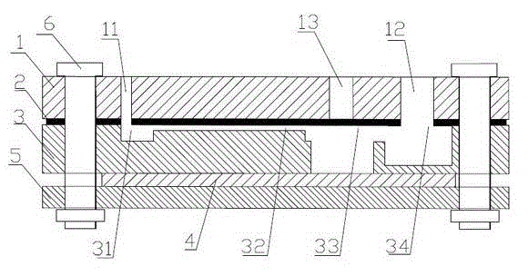 Microfluidic chip for biological chemiluminescence detection and manufacturing method thereof