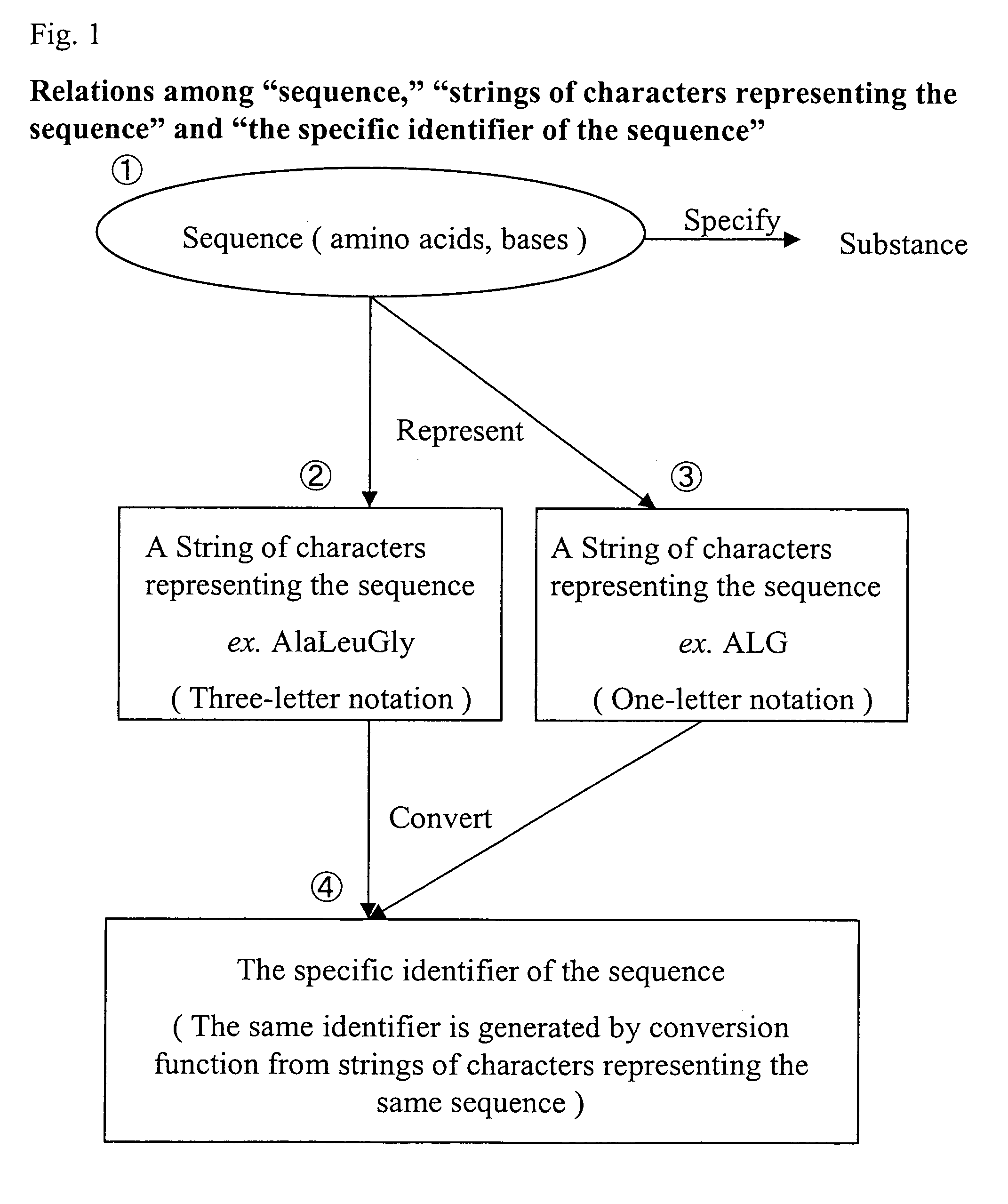 Specific identifiers of amino-acid base sequences