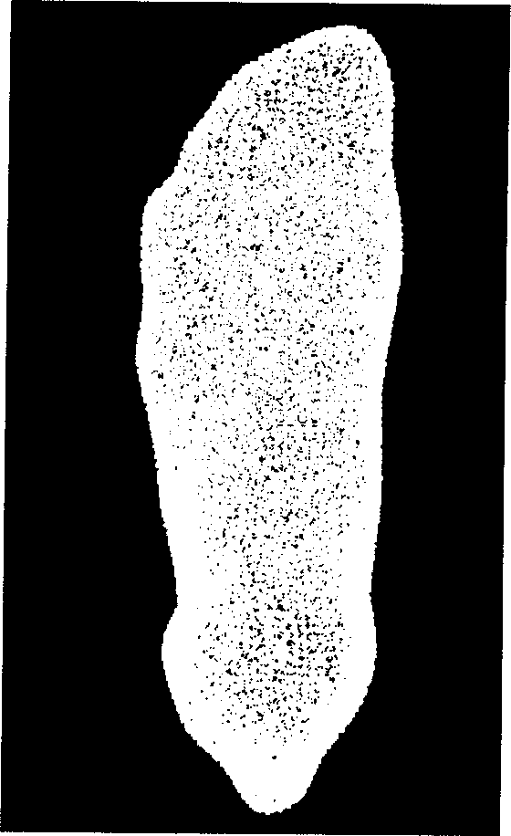 Three-dimensional feet data measuring method to sparse grid based on curve subdivision