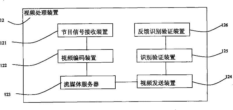 Remote video accessing system and method