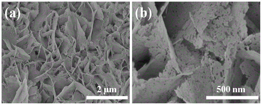 Porous nio/ceo  <sub>2</sub> Hybrid nanosheet array and preparation method and use thereof