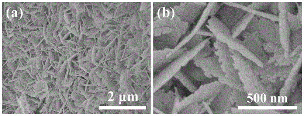 Porous nio/ceo  <sub>2</sub> Hybrid nanosheet array and preparation method and use thereof