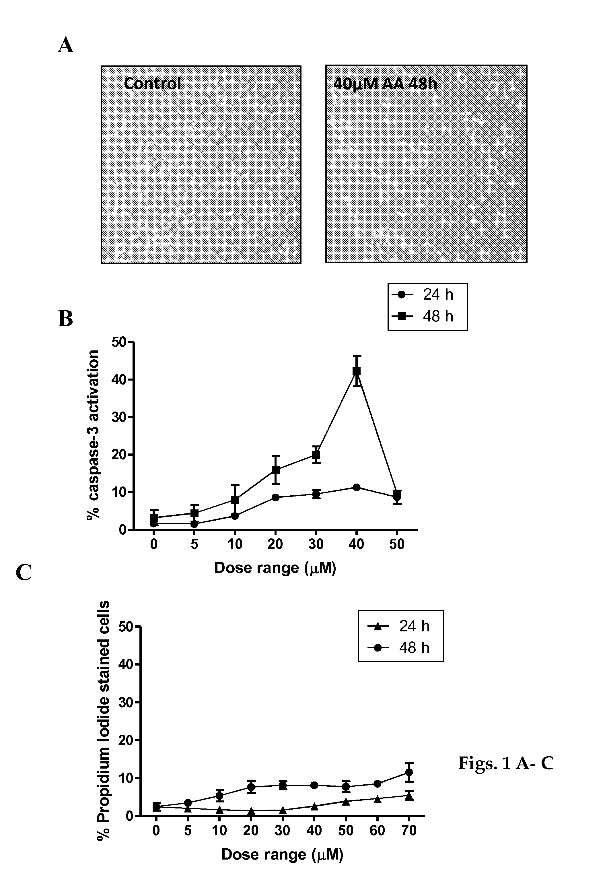 Pharmaceutical compositions of Anisomelic acid and the use thereof