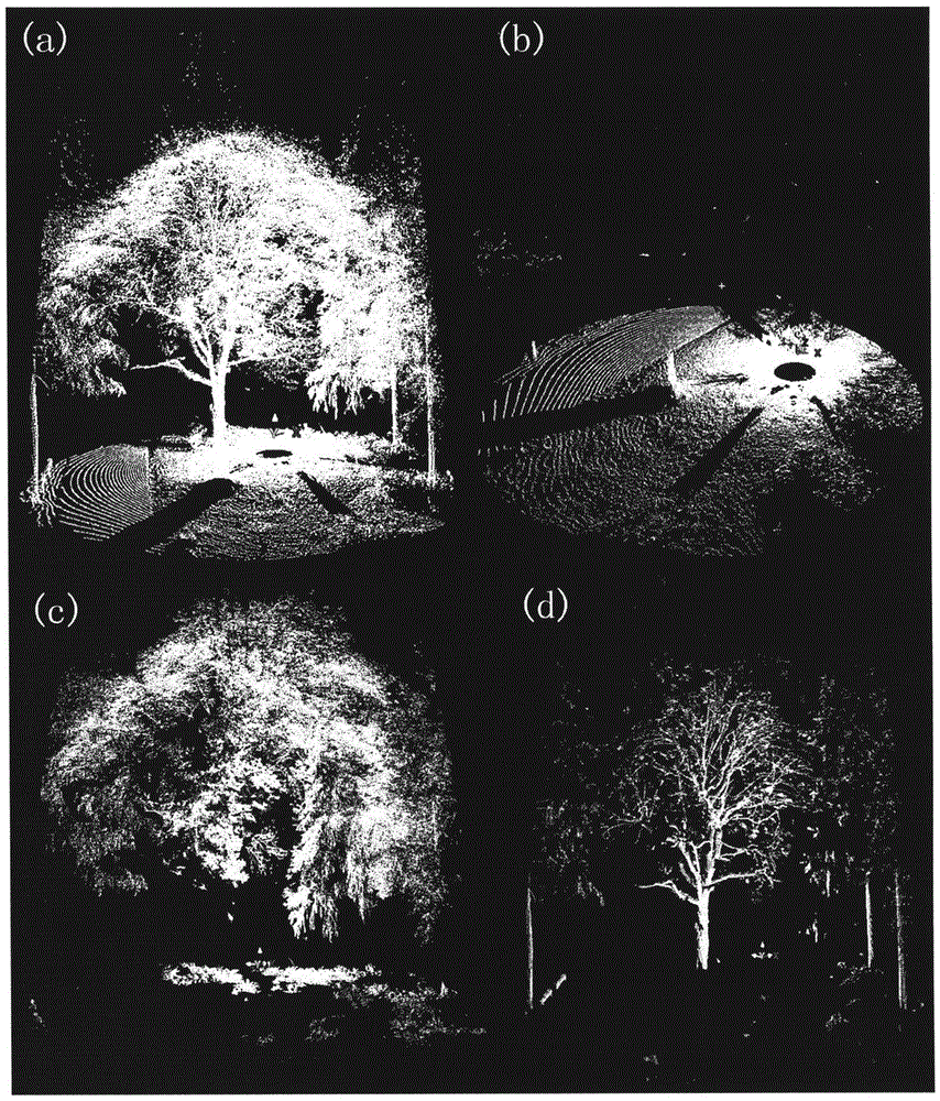 A Forest Point Cloud Classification Method Based on Pattern Recognition