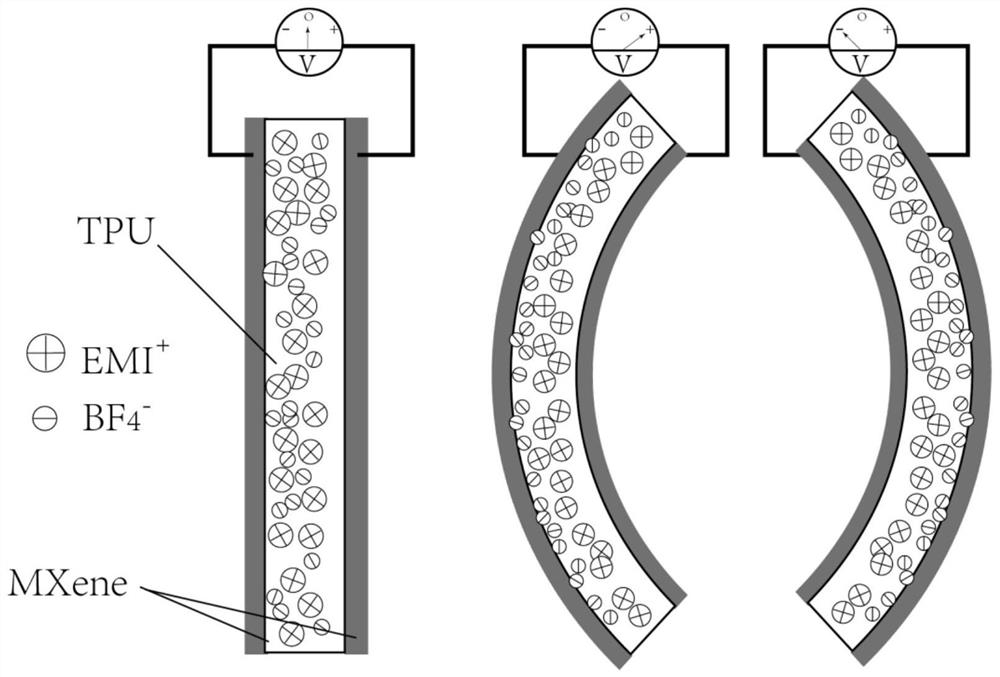 Ion sensor based on MXene electrodes and preparation method of ion sensor