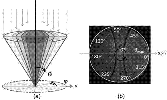 Microscopic imaging technique compounding surface plasma resonance and surface enhanced raman