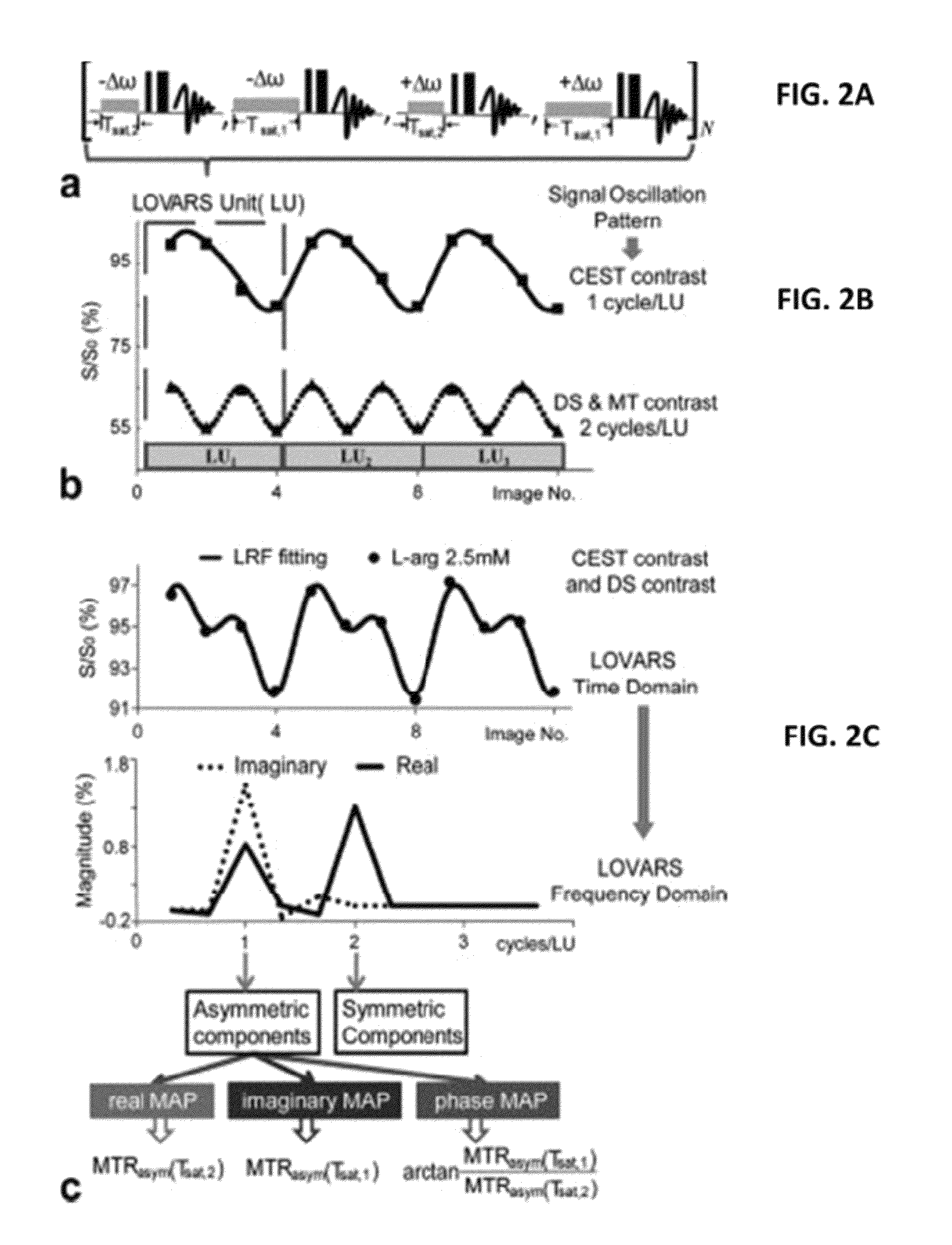 CEST phase and magnitude imaging using a multi-parametric varied saturation scheme
