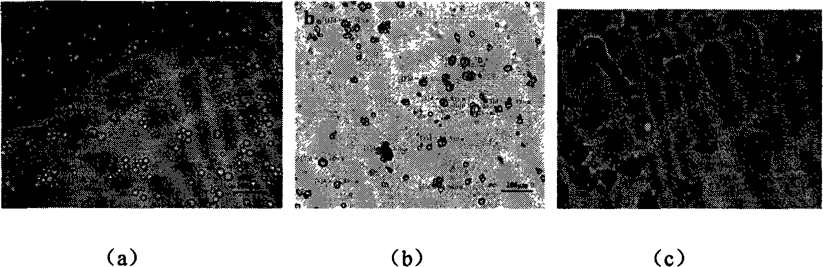 Method for preparing cellulose contrast medium for stomach and intestine ultrasonic imaging