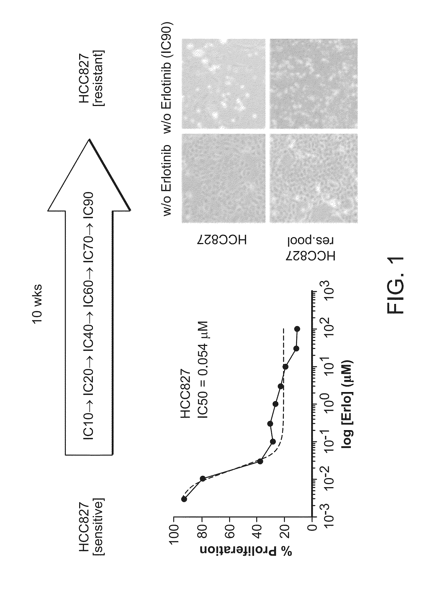 Combination cancer treatments utilizing micrornas and egfr-tki inhibitors