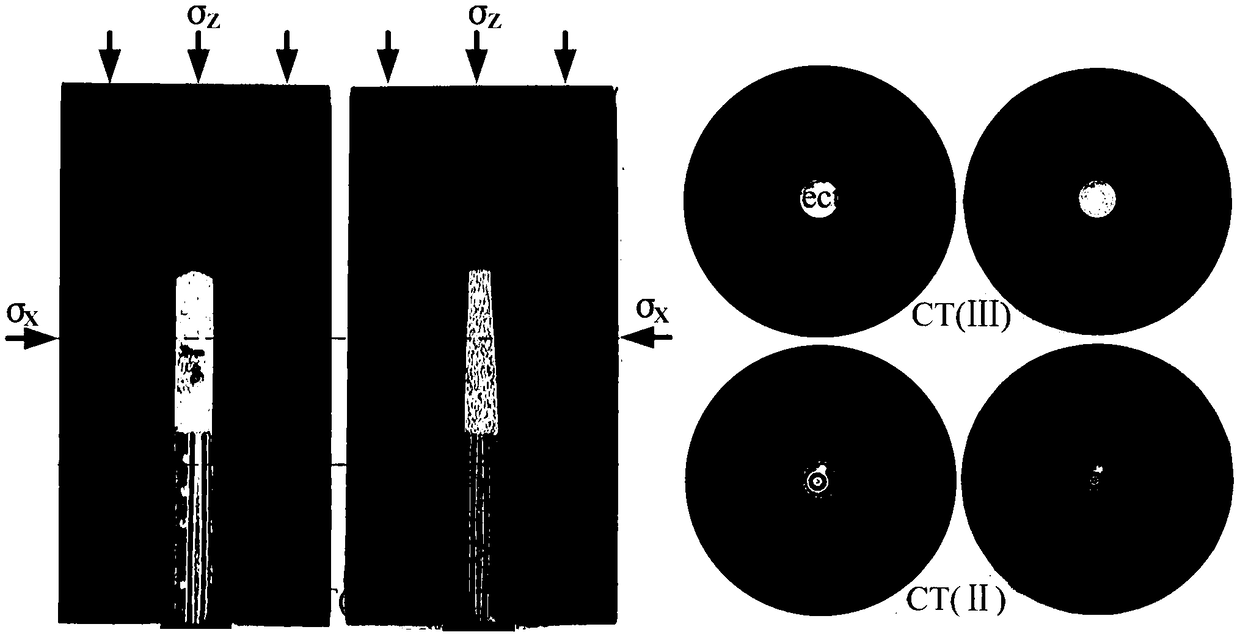 Shale cracking device using carbon dioxide in different phases and experiment method